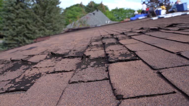 Best Roof Coating and Sealing  in Mentone, IN